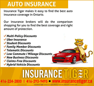 Tiger-Insurance-385x350-220914